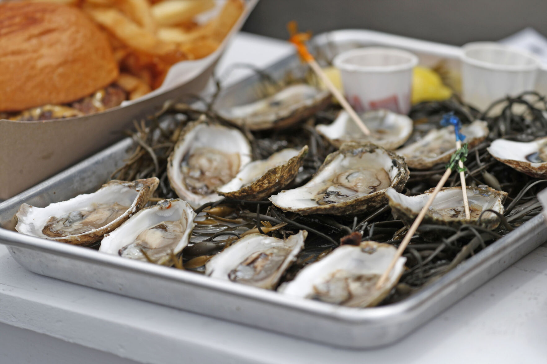 Freshly opened oysters at Shuck Shack